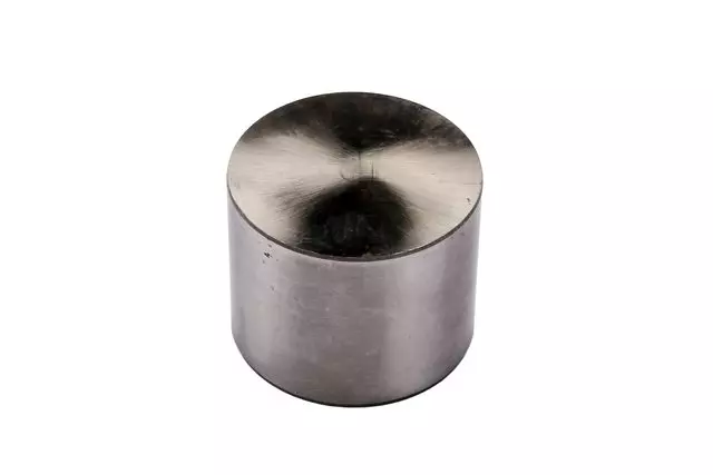 Engine Valve Lifter - GM (55353784)