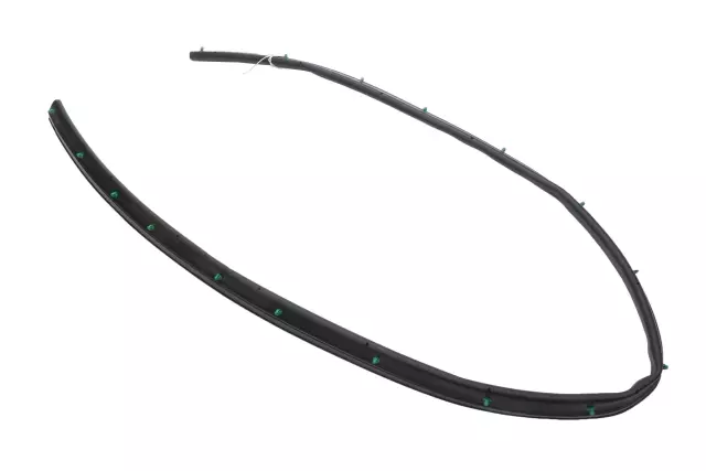 Passenger Side Door Window Belt Weatherstrip - GM (84184297)