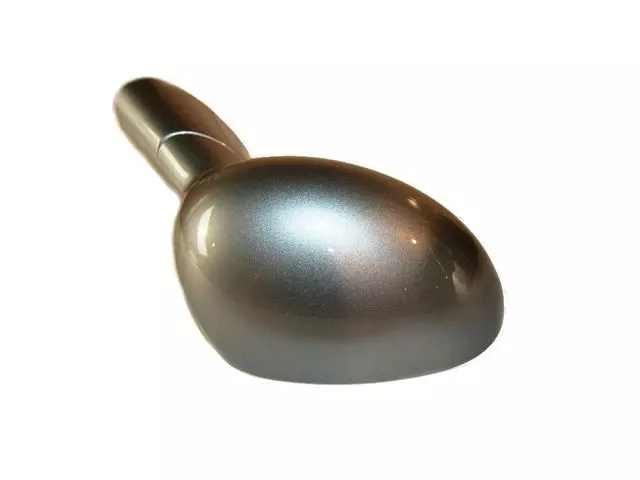 Mirror Assembly - Mopar (1VX80TZZAB)