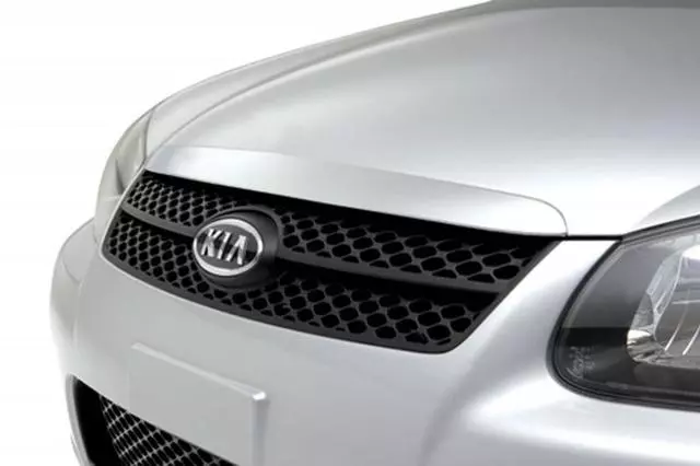 P83802F001 - Exterior: Sport Mesh Grille for Kia Image