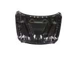 55372244AK - : Hood for Mopar Image