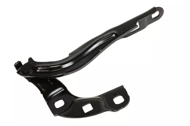 23100631 - Body: Hinge for GMC: Acadia Image