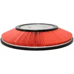 AF7825 - : Luberfiner AF7825 Round Air Filter for LUBER-FINER Image