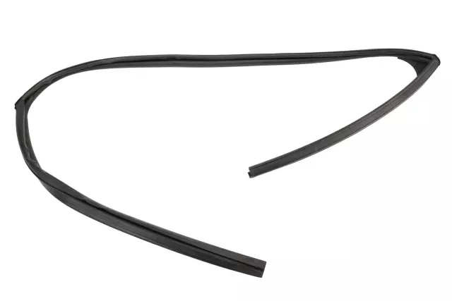 22751685 - Body: Run Channel for GM Image