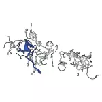 KU5Z12A581GJ - Electrical: Engine Harness for Ford: Escape, Maverick | Lincoln: Corsair Image