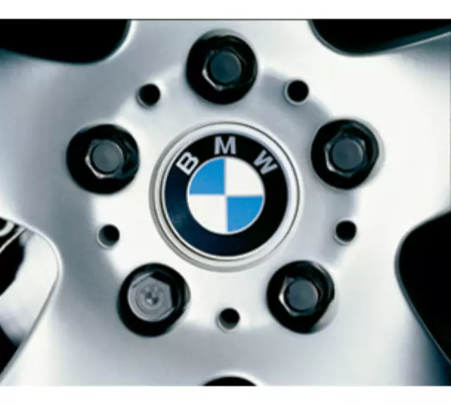 Wheel Stud Locks - BMW (36-13-2-453-961)