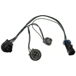 S2125 - : Park and Turn Signal Socket for SMP CORP Image