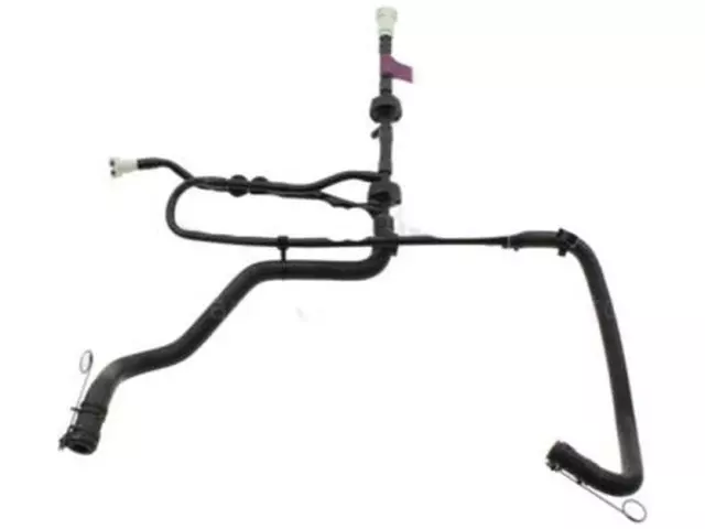 FL3Z9C490Y - Body: Vacuum Tube for Ford: F-150 Image