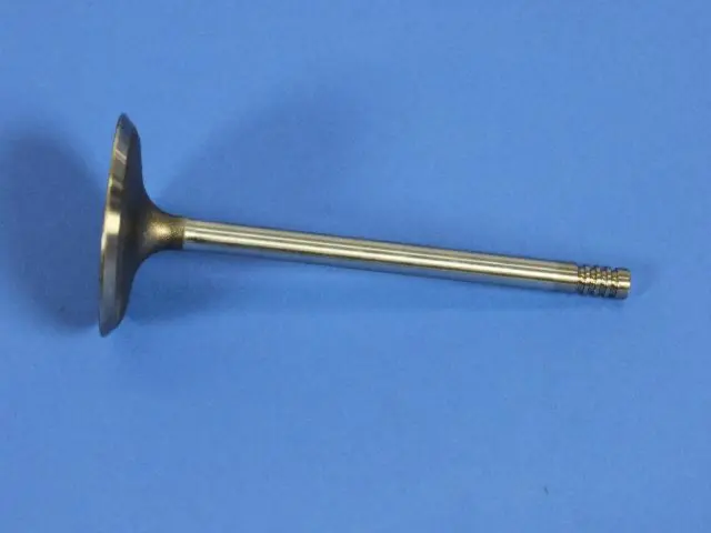 Intake Valve - Mopar (4781025AA)