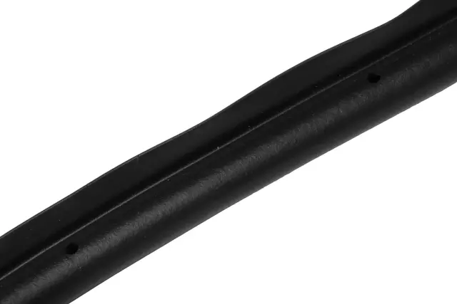 Rear Passenger Side Door Weatherstrip - GM (84136389)