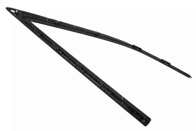 Rear Driver Side Upper Side Door Opening Reveal Molding - GM (23194470)