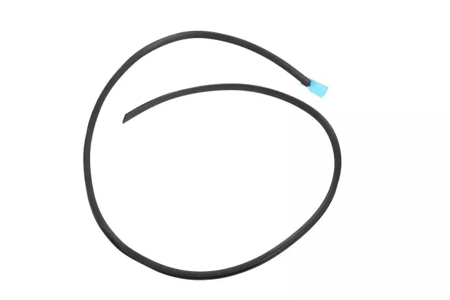 15881442 - Body: Side Seal for Chevrolet: Corvette Image