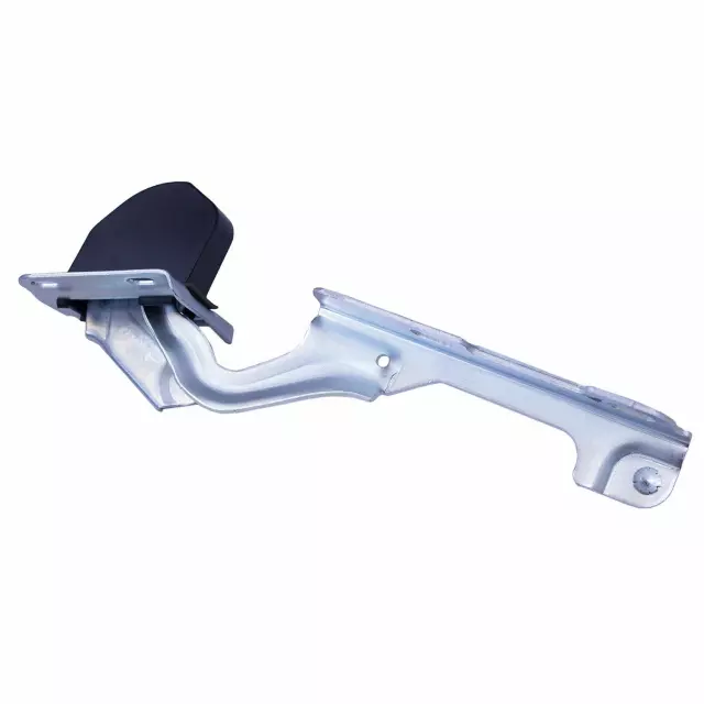 F5TZ16797A - Body: Hinge for Ford: Explorer, Explorer Sport, Explorer Sport Trac | Mercury: Mountaineer Image