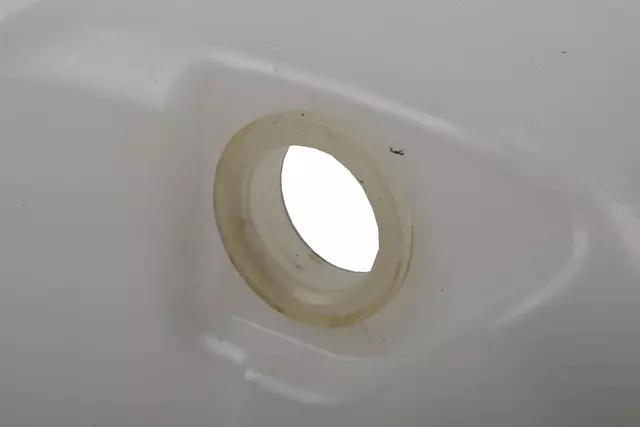 88958394 - Body: Washer Reservoir for Cadillac: STS Image