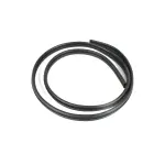 55394040AG - Doors and Related Parts: Front Door Seal, Body Side for Mopar Image