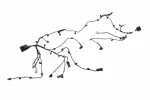 85053170 - : F Harness for GM Image