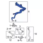 ML3Z8N029B - Cooling System: Hose for Ford: F-150 Image