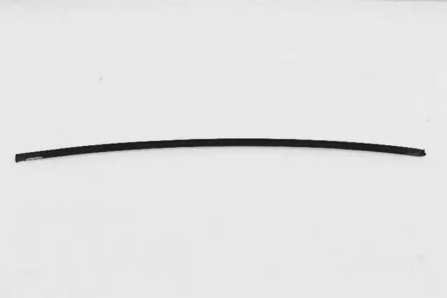 Drip Rail Molding, Left - Mopar (YA01P61AA)