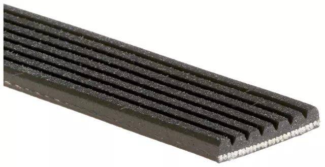 Belt - GM (19252334)