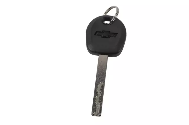 13523910 - : F (S)Key for GM Image