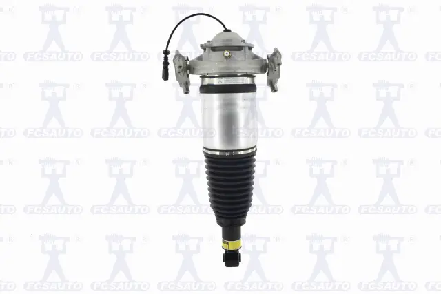 99075 - Suspension &amp; Steering: Electronic Air Suspension Strut Assembly for Focus Auto Parts Image