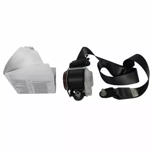 CL3Z18611B68AC - : 2009-2014 Ford F-150 - Seat Belt Assembly for Ford: F-150 Image