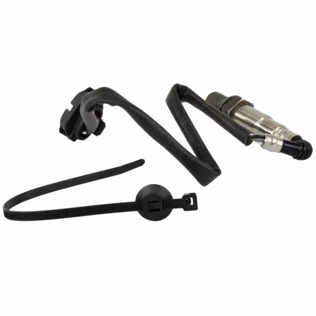 Sensor Hego - Ford (QDY-50)