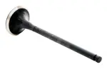 EM9741 - : Engine Exhaust Valve for Enginetech Image