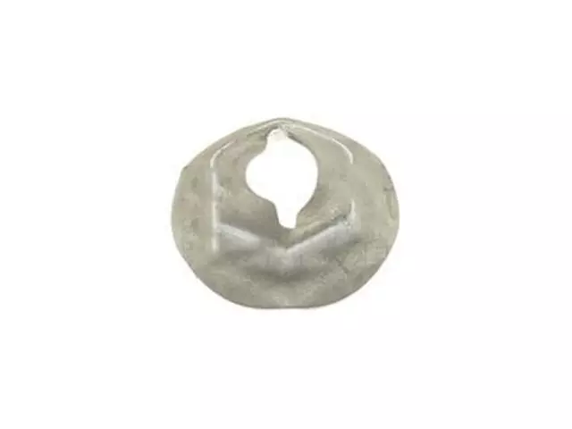 2007-2024 Ford - Fog Lamp Bulb Nut - Ford (N623403-S439)