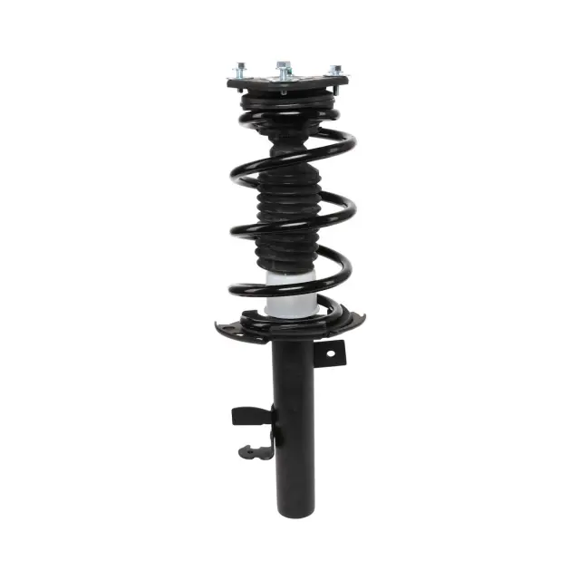 818910 - : PRT 818910 Suspension Strut and Coil Spring Assembly for PRT PERFORMANCE RIDE Image