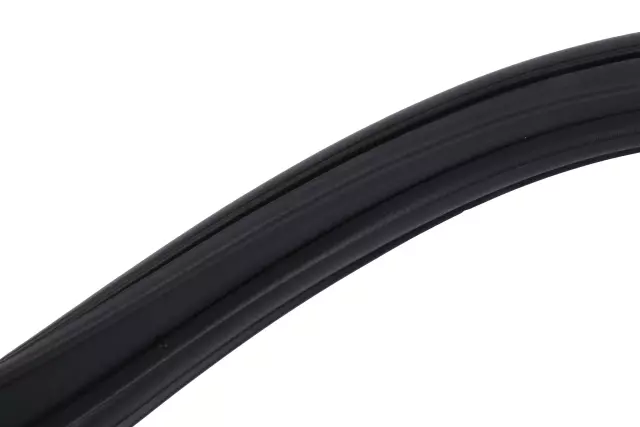 2007-2011 Chevrolet Aveo - Weatherstrip - GM (96648488)