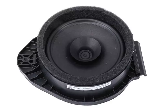 Rear Dr Speaker - GM (39243285)
