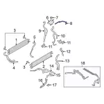L1MZ8B504FCC - Cooling System: Engine Coolant Overflow Hose for Ford: Explorer, Police Interceptor Utility | Lincoln: Aviator Image