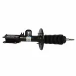 AST12275 - : Shock Absorber Assembly for Ford: Flex Image