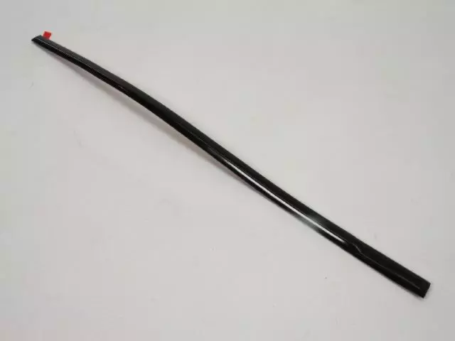 1DH74DX8AB - Exterior Ornamentation: Rear Door Molding for Mopar Image