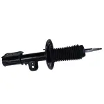 AST12277 - : Shock Absorber Assembly for Lincoln: MKT Image
