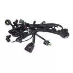 9S4Z12A581A - Electrical: Engine Harness for Ford: Transit Connect Image