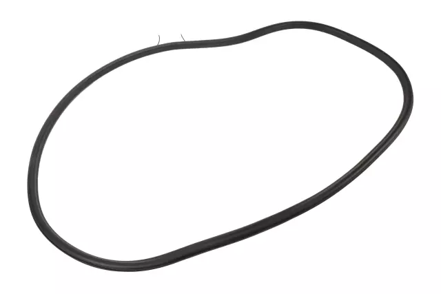 94550171 - : Rear Side Door Weatherstrip for Chevrolet: Trax Image