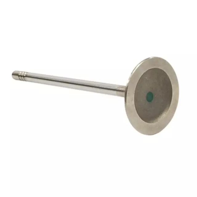 Intake Valve - Ford (JL3Z-6507-A)