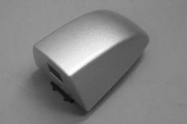 Outside Door Handle Bezel - Mopar (1RH61WS2AE)