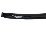 EG1Z5451728D - : Roof Molding for Ford Image