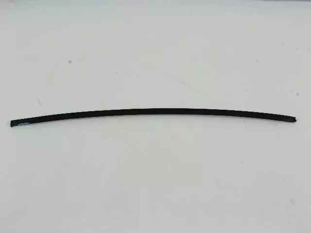 YA01P41AA - Exterior  Ornamentation: Drip Rail Molding, Left for Mopar Image