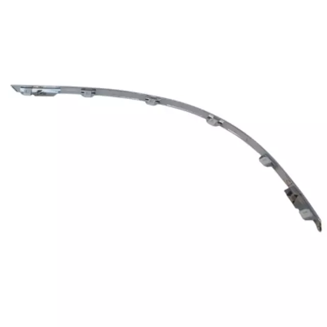 Bumper Trim - Ford (5G1Z-17C829-AAB)
