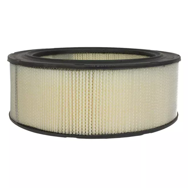 Air Filter - Ford (F1UZ-9601-A)