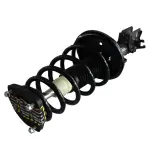 837341 - : Hyundai, Kia Suspension Strut and Coil Spring Assembly  - Rear Left for GSP Image
