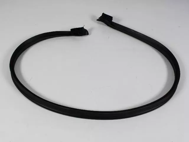 Lift-Gate Glass Weatherstrip - Mopar (55395244AG)