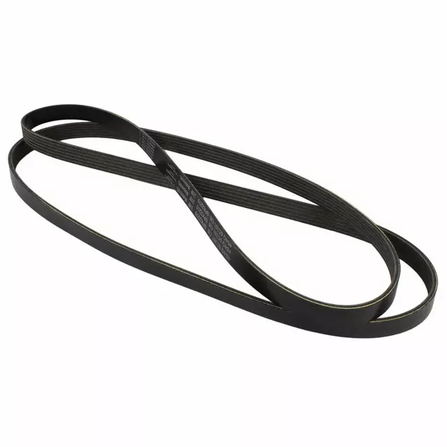 4S4Z8620CC - : Serpentine Belt for Ford: Focus Image