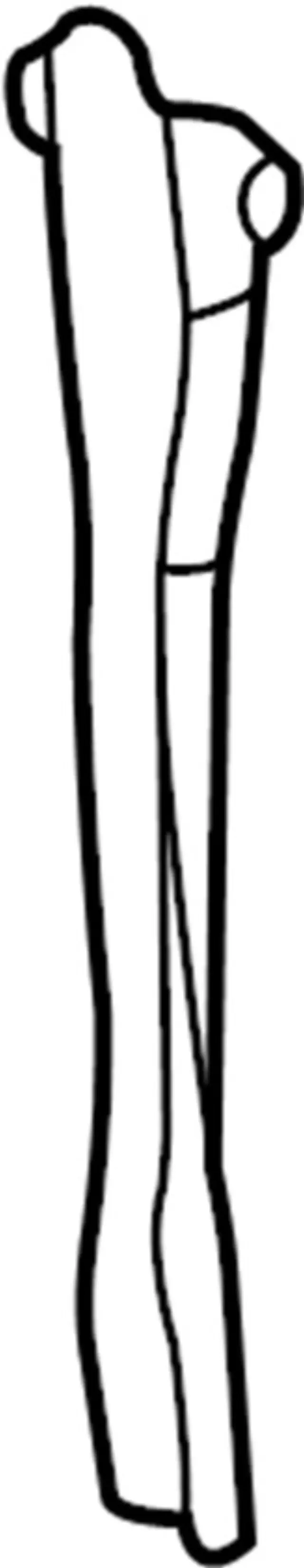 625500W000 - Body: Lock Support for INFINITI: QX4 Image