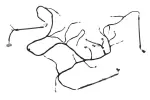 85040863 - : F Harness for GM Image