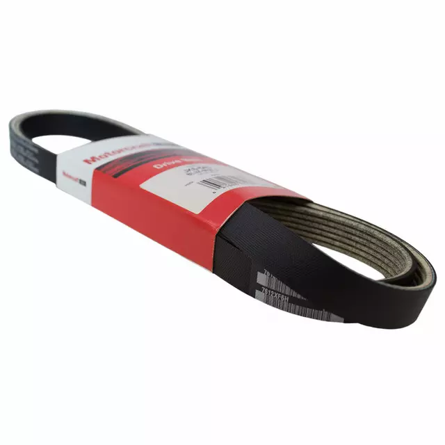 Water Pump Belt - Ford (BL3Z-8620-A)